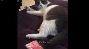 Лучшая подборка приколов. часть 2 - Досмотри и подпишись!)