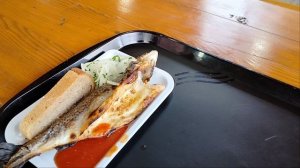 абхазия, озеро рица, озеро рица абхазия, мамалыга, экскурсии в абхазии, веб камера озеро рица,