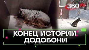 Бездомная дворняга Додобоня заставила извиняться федеральную сеть пиццерий