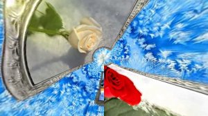 Розы на Снегу в Ледяной Галерее 2 от Киностудии Мудрого Кота Тимофея!