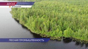 На заседании антикризисного оперштаба обсудили меры поддержки деревообрабатывающей отрасли