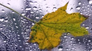 Таисия  Повалий - Опоздавший