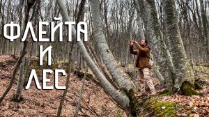 Индейская Флейта Пимак / Музыка Души из Лесной Глуши