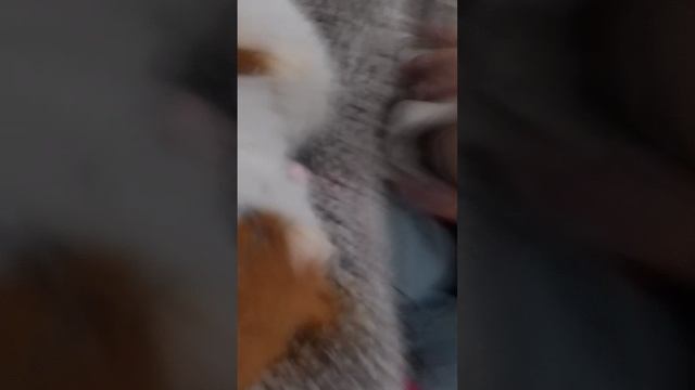 Мой Марк и немго о себе смотреть онлайн