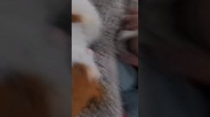 Мой Марк и немго о себе