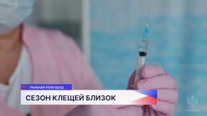 Клещи в этом году выйдут из спячки раньше обычного, прогнозируют санитарные врачи