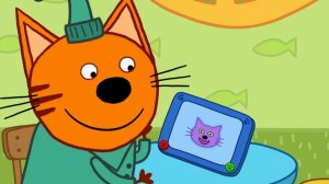 ТРИ КОТА. ОДИН ДЕНЬ С ТРЕМЯ КОТАМИ