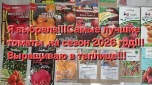 Мой выбор томатов,на сезон 2026 год!!!Самые лучшие томаты,для моей теплицы!!!