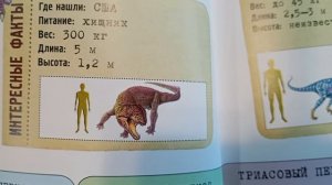 Рассказываю про постозуха и целофиза