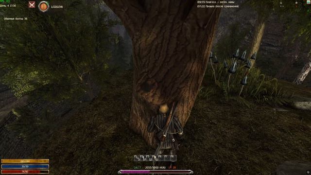 На подкрадухах к лысым