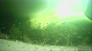 1000010377.mp4Волга гл.2м.24.02.2026г.