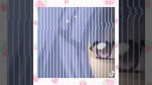 (๑˃̵　ᴗ　˂̵)و