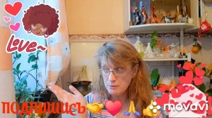 ‼️❓‼️❓‼️❓‼️❓‼️