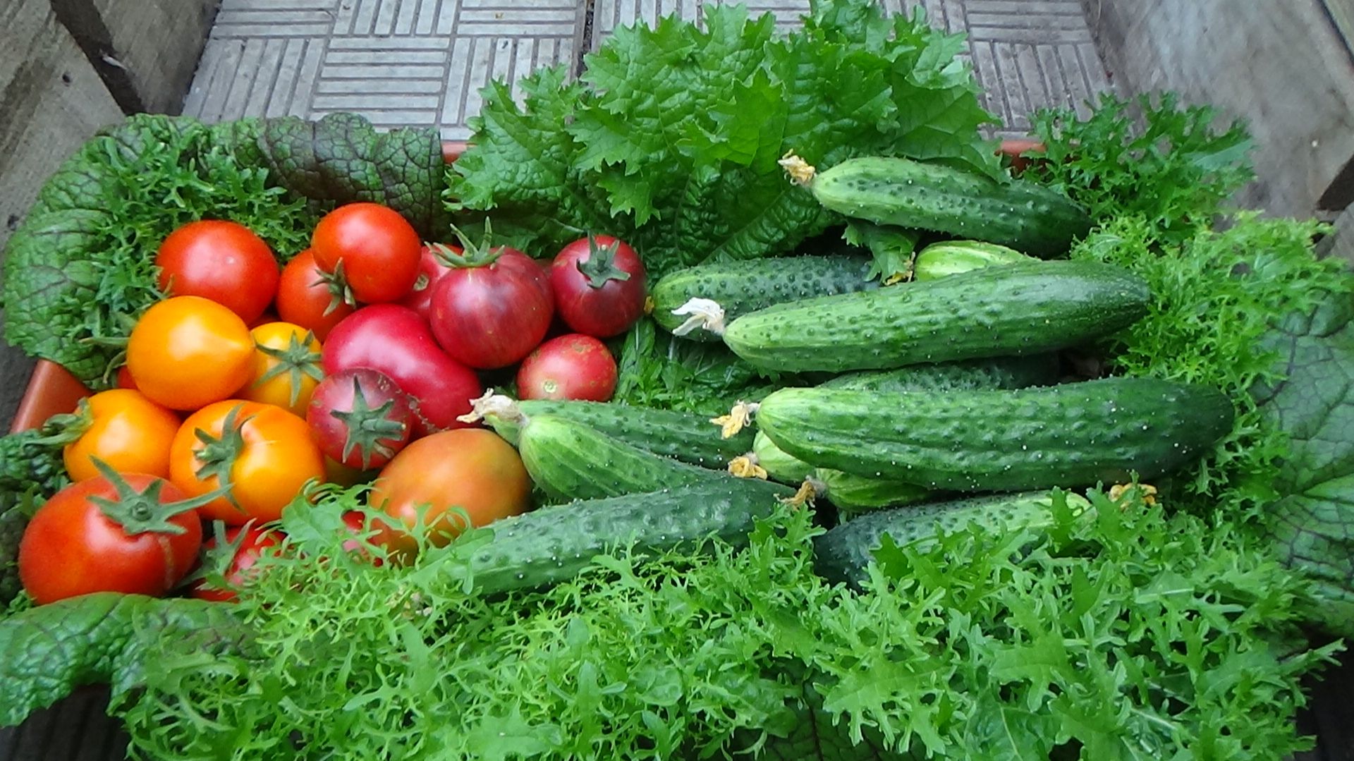 ПОСЕВЫ 2026-33. Ошибки прошлого 2025 года хочу исправить в этом году. смотреть онлайн