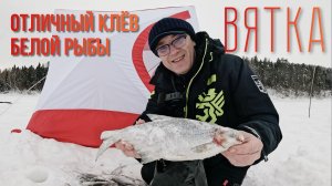 Отличный клёв белой рыбы на течении. Рыбалка на Вятке. Советский район.