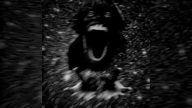 167 смотреть онлайн