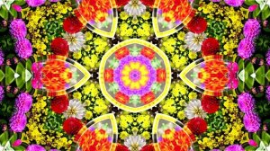 Футажи! Футаж Очаровательные фантастические пейзажи 1!