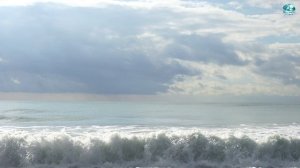 Море, которое лечит. Шум волн для вашего спокойствия 🌊