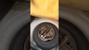 Идеальная Октавиа