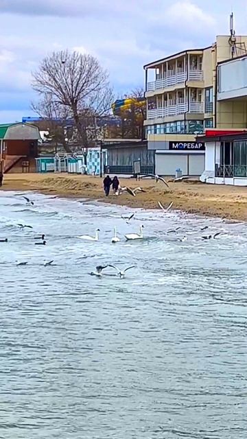 если есть на свете рай 🌴