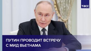 Путин проводит встречу с МИД Вьетнама