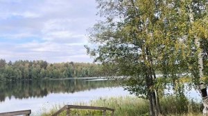 Волшебное озеро Светлояр. Сила притяжения. Нижегородская область.