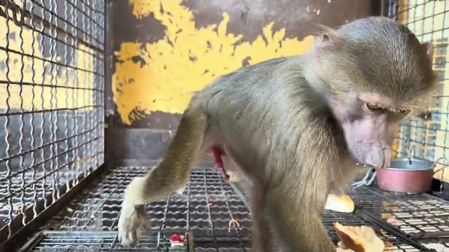 Вы только посмотрите какой мальчик зайчик стал Степка❤️ смотреть онлайн