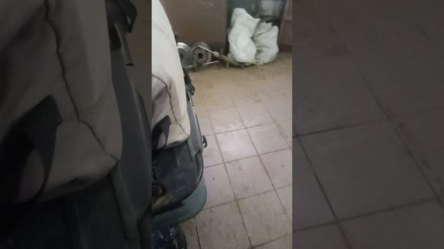 1000011815.mp4 смотреть онлайн