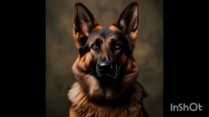 "Как шёпот озёр, как рассветный простор…". Видеоролик к 23 Февраля!