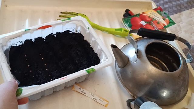 Как сеять томаты на рассаду?Обзор моей рассады смотреть онлайн