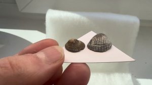 copy_89975156-033C-424C-95E4-6C71C218769B