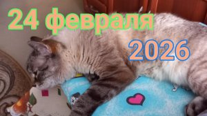 24 февраля 2026. Февраль подходит к концу...
