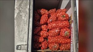 Россельхознадзор_О фитоконтроле продукции из Киргизии_Вести-Томск_17.02.2026