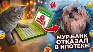 Ипотека.Мур.Банк.🏛🏦Снег.❄️😹