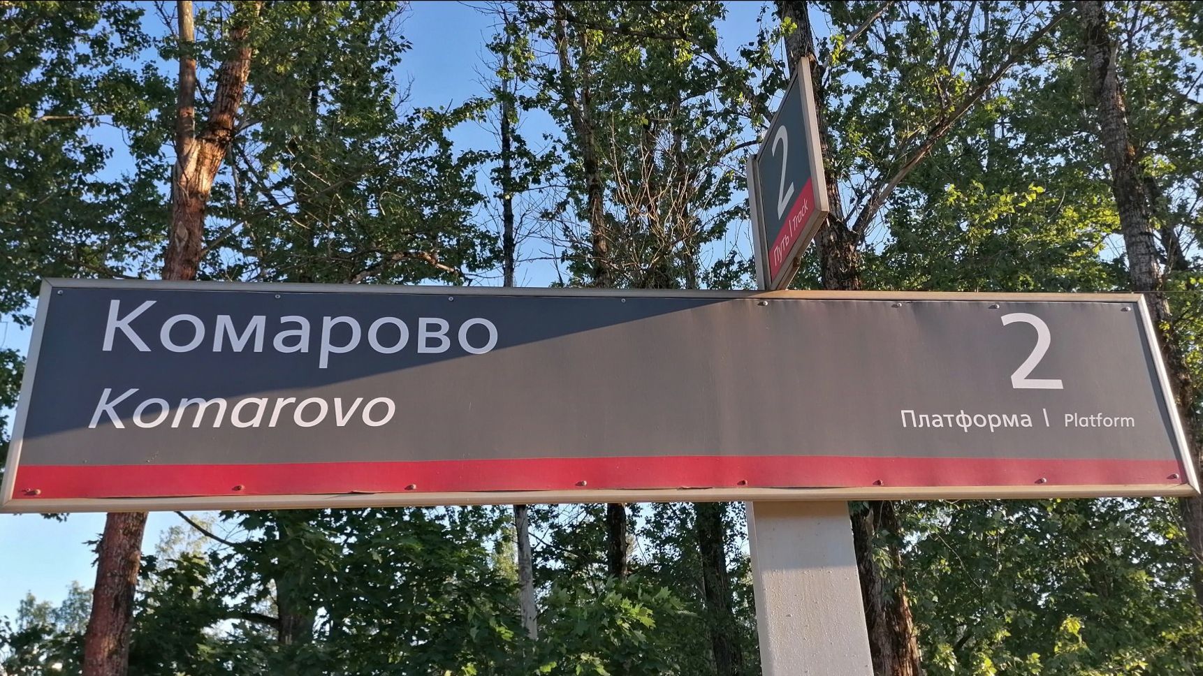 Комарово: куда сходить, что посмотреть? | тревелог Е. Боганьковой и М. Рябининой