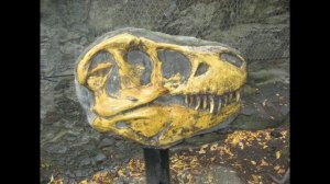 Прага 2015, зоопарк