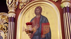 Митрополия (Рязань). 25 февраля 2026