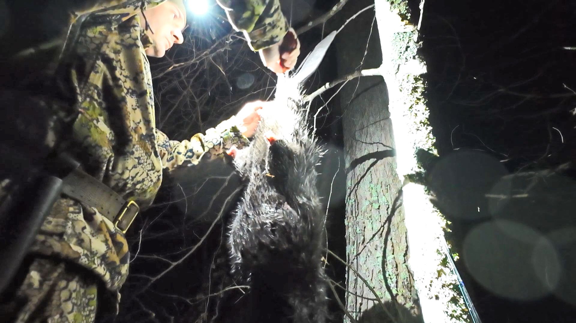 РАЗДЕЛАЛ ДОБЫТОГО ЗВЕРЯ НА МЕСТЕ. ОХОТА С Mars MT-1000 LRF. Лоси лежат в пойме реки. Ночная жизнь. смотреть онлайн