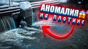 ШОК 😱 ПОЧЕМУ ОНА КЛЮЕТ на МИКРОДЖИГ ❓ ЛОВЛЯ НЕОБЫЧНОЙ РЫБЫ на СПИННИНГ