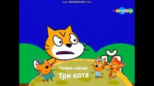 лентьяо плашка 18 09 2015 плашка три кота 28 12 2016 ангел бэби 16.06.2019