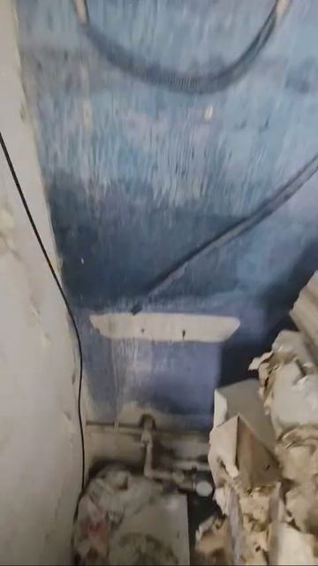 Аренда помещения в Ялте!