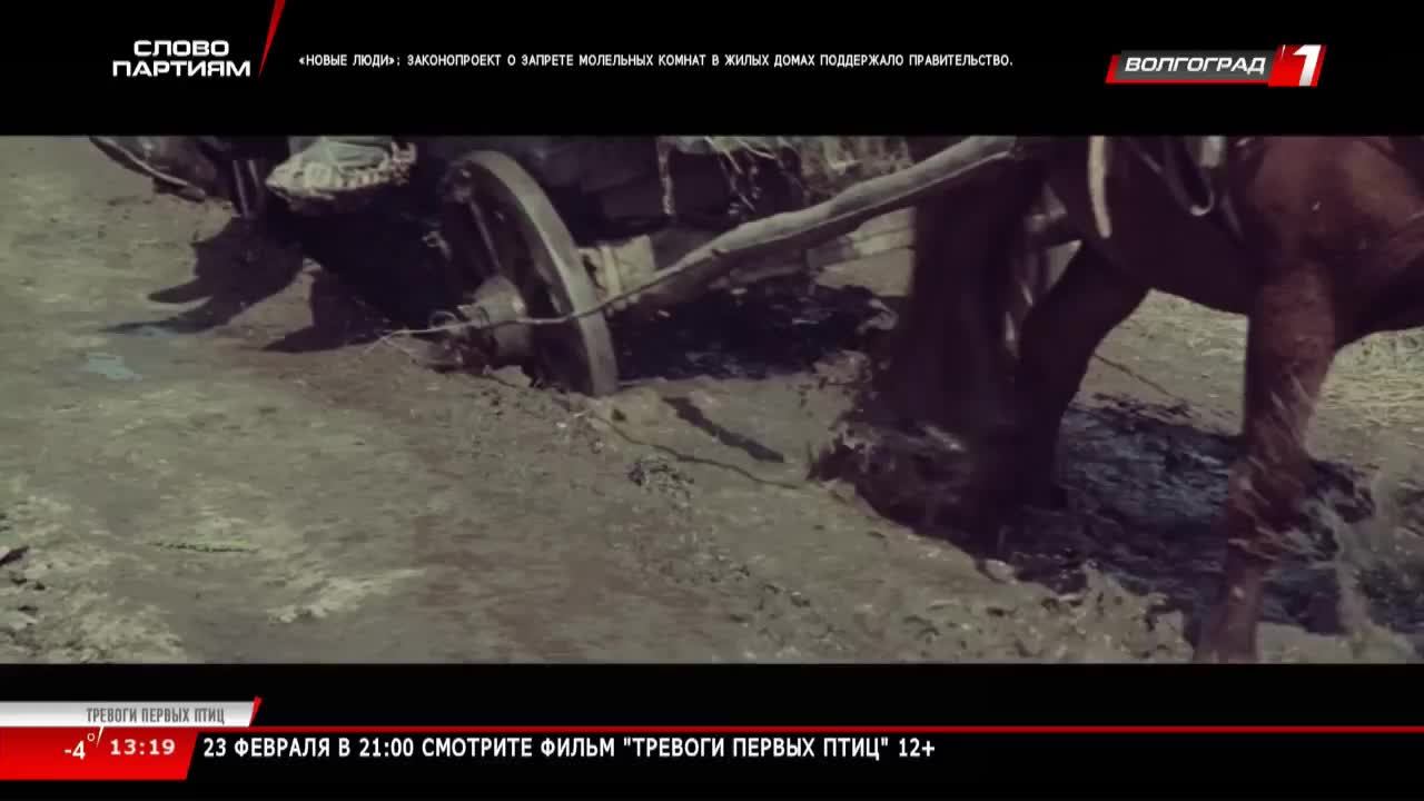 Live: Телеканал «Волгоград 1» смотреть онлайн