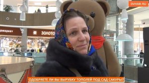 Рубку тополей под сад «сакуры» поддержали хабаровчане (ВИДЕОБЛИЦ)