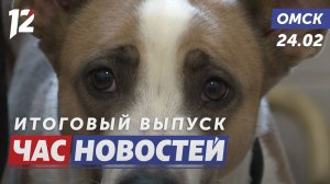 Брошенная собака ищет дом / Битва умов началась! / МЧС напоминает о безопасности. Новости Омска