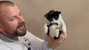 Доктор Василий устроил котятам и носушатам НУЖНУЮ ПРОЦЕДУРУ, еле всех переловили)((