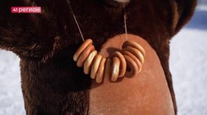 МАСЛЕНИЦУ ОТПРАЗДНОВАЛИ НА ОДНОЙ ИЗ БАЗ ОТДЫХА КАМЧАТКИ•НОВОСТИ КАМЧАТКИ