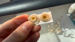 copy_7BFAEF2E-8A0E-4C71-80A7-9C6C7516C261