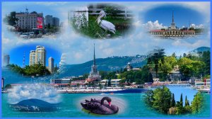 Сочи 2025 Город Морская прогулка Дендрарий
