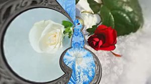 Розы на Снегу в Ледяной Галерее 3 от Киностудии Мудрого Кота Тимофея!