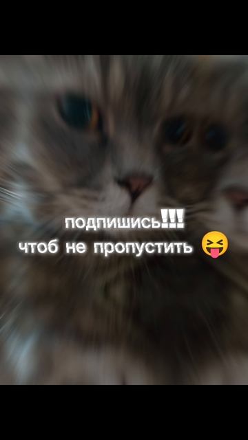 СКОРО ПЕРВАЯ МОЯ ТРАНСЛЯЦИЯ!!!🥳🤯🤪😃